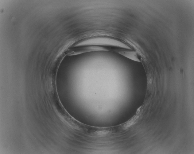 X0000077390158200611101803