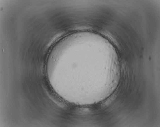 X0000077390159200611101803