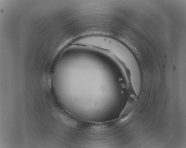 X0000077390160200611101803