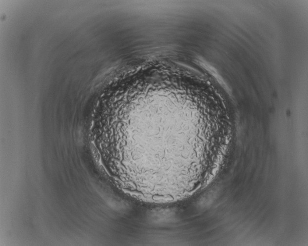 X0000077390161200611101803