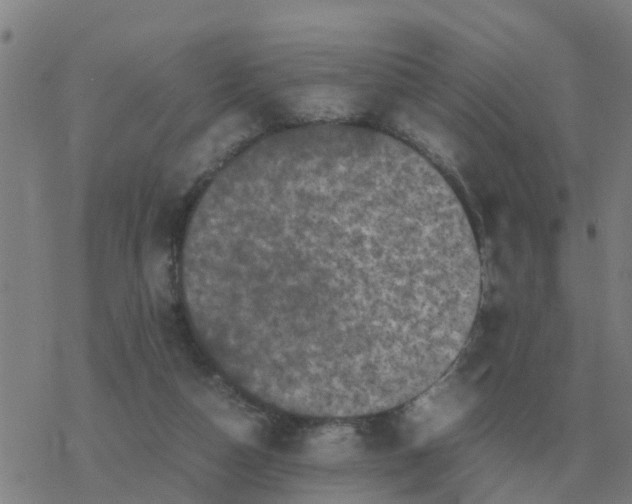 X0000077390162200611101803