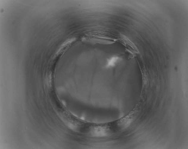 X0000077390163200611101803