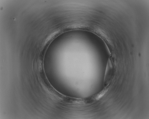 X0000077390164200611101803