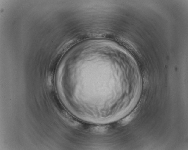 X0000077390166200611101803