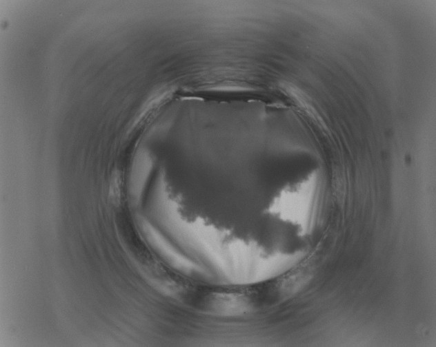 X0000077390167200611101803