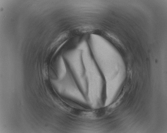 X0000077390170200611101803