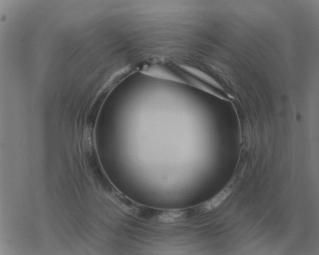 X0000077390172200611101803