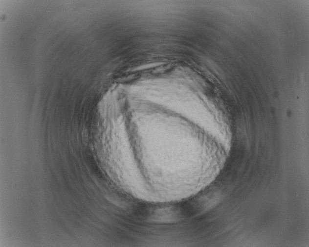 X0000077390173200611101803