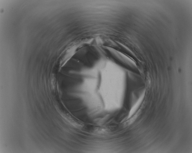 X0000077390174200611101803