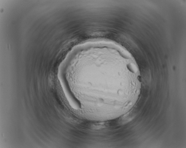 X0000077390175200611101803