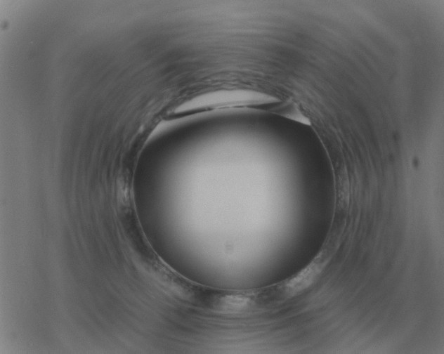 X0000077390176200611101803