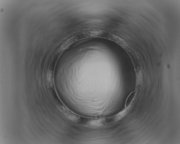 X0000077390178200611101803