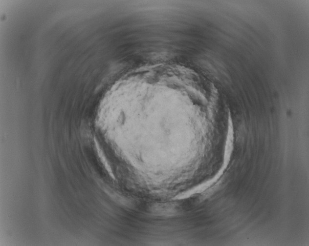 X0000077390179200611101803