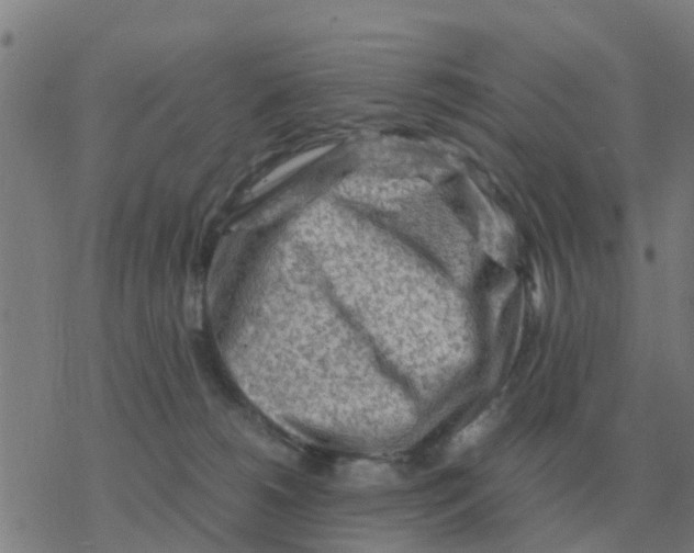 X0000077390180200611101803