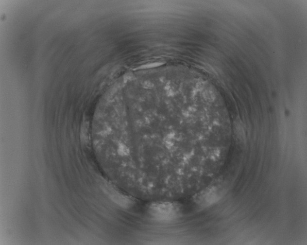 X0000077390181200611101803