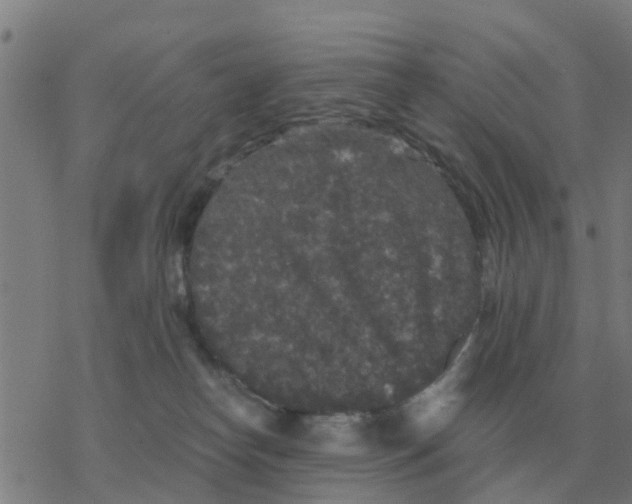 X0000077390182200611101803