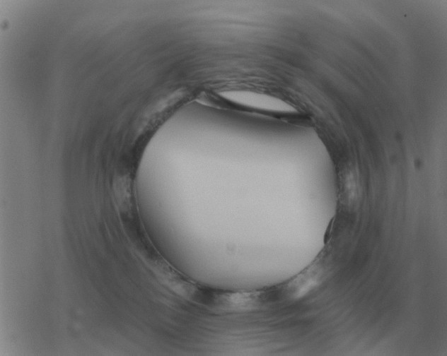 X0000077390184200611101803