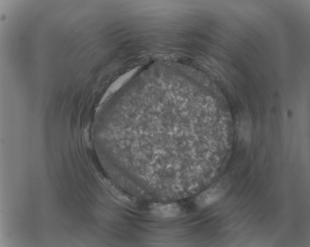 X0000077390185200611101803