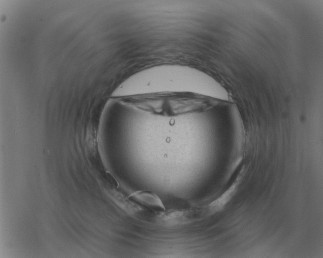 X0000077390186200611101804