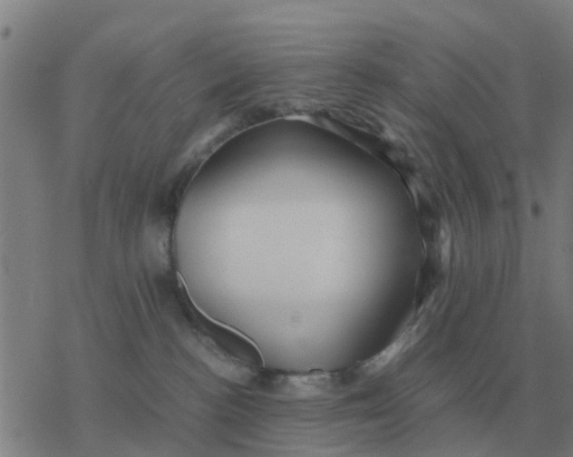 X0000077390188200611101804