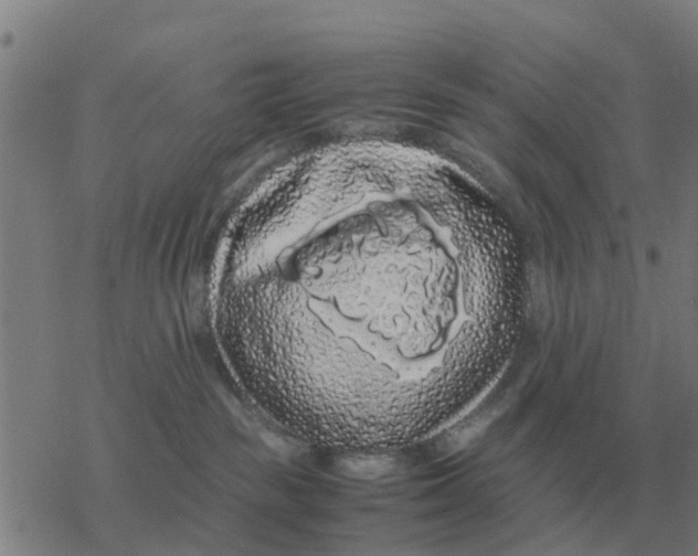 X0000077390189200611101804