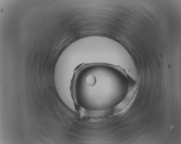 X0000077390190200611101804