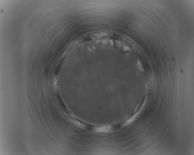 X0000077390191200611101804