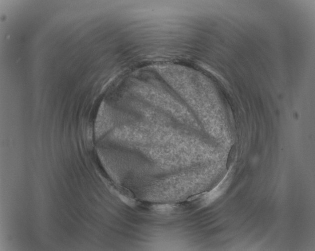 X0000077390192200611101804