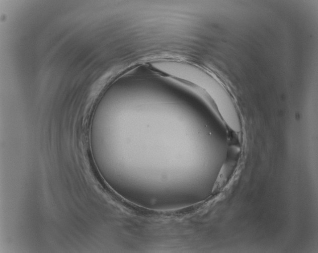 X0000077390193200611101803