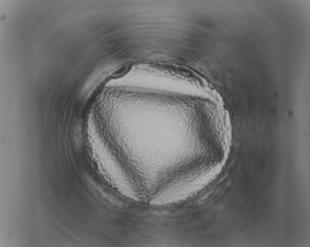 X0000077390194200611101803