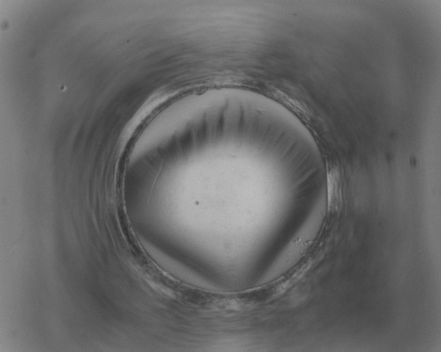 X0000077390195200611101803