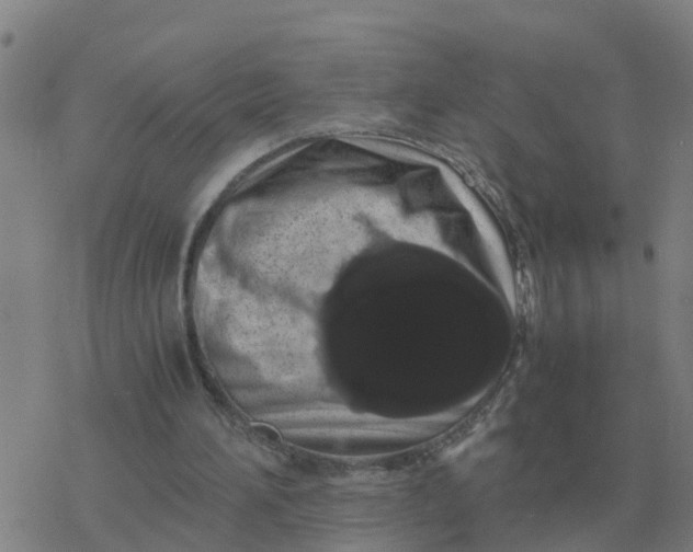 X0000077390196200611101803