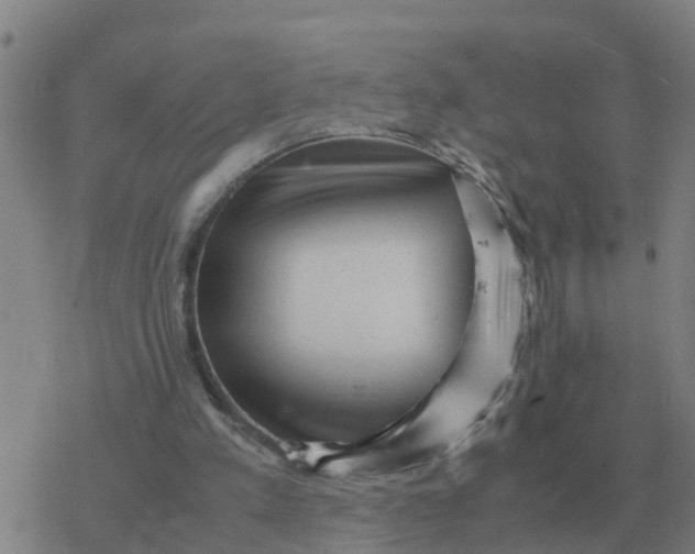 X0000077390197200611101803