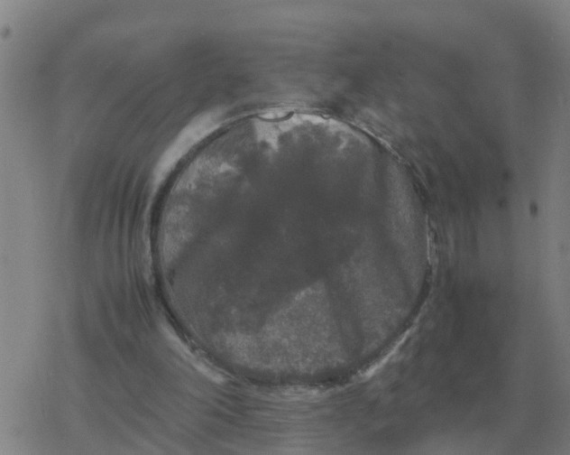 X0000077390198200611101803