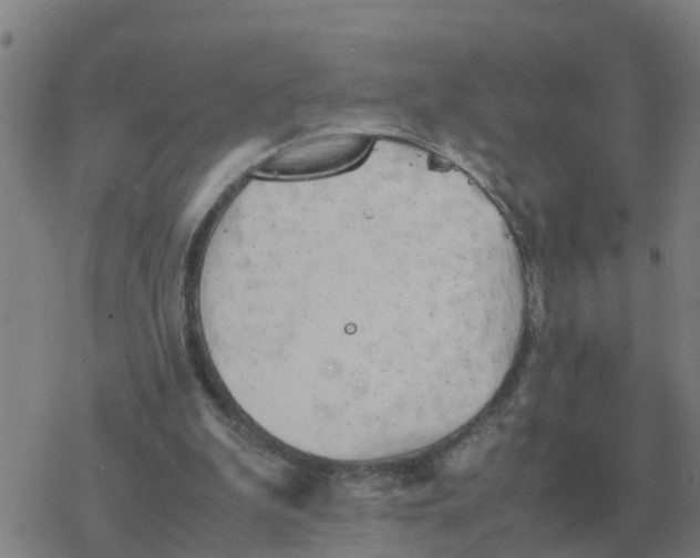 X0000077390199200611101803