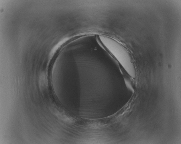 X0000077390200200611101803