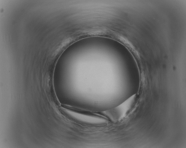 X0000077390201200611101803