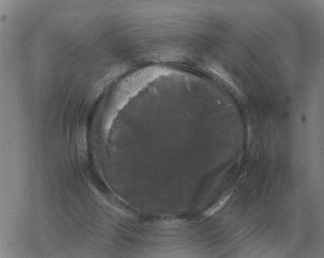 X0000077390202200611101803