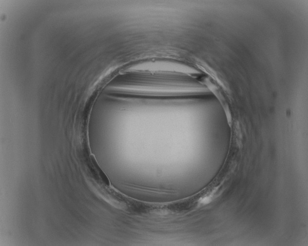 X0000077390203200611101803