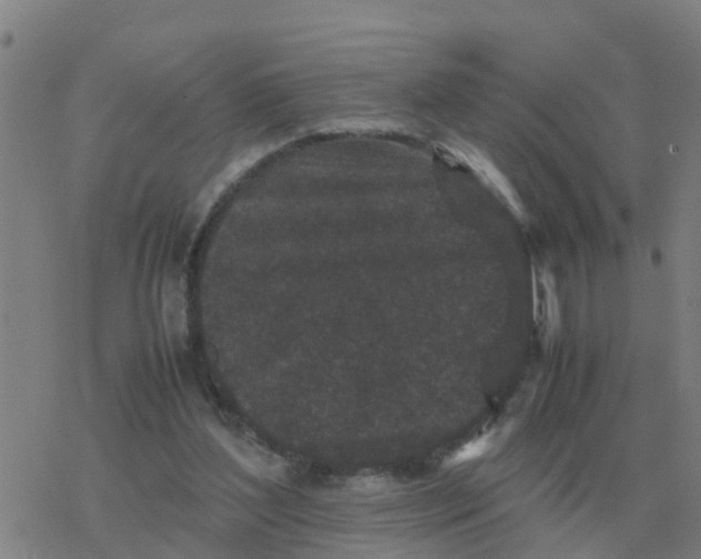 X0000077390204200611101803