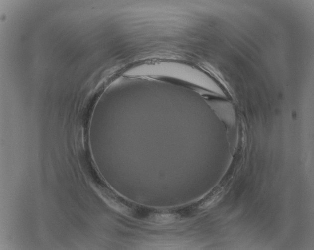 X0000077390205200611101803