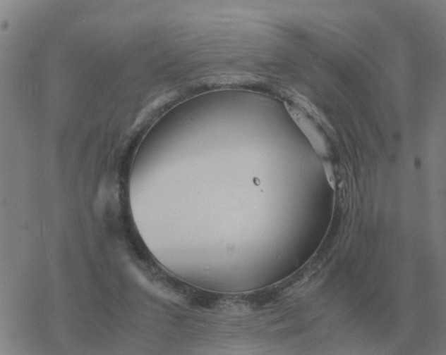 X0000077390207200611101803