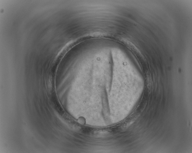 X0000077390208200611101803