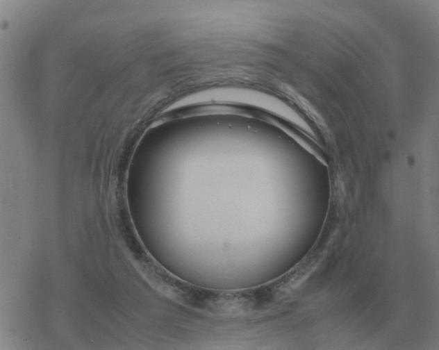 X0000077390209200611101803