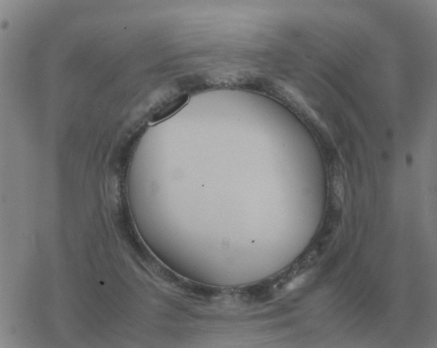 X0000077390211200611101803