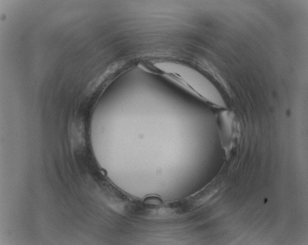 X0000077390212200611101803