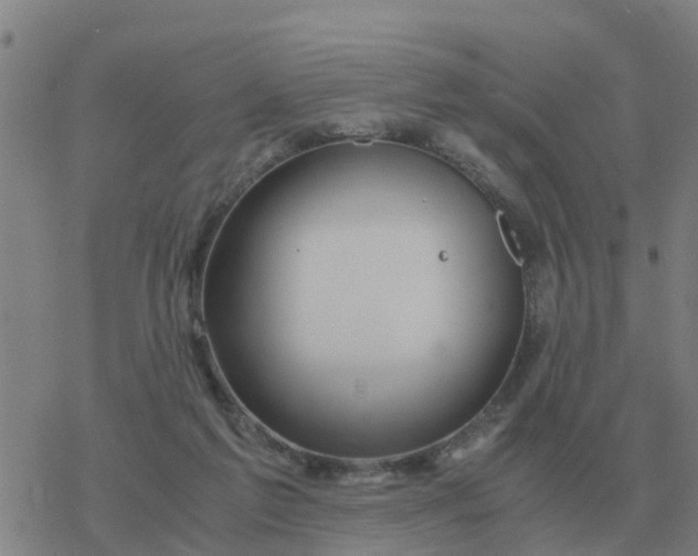 X0000077390213200611101802