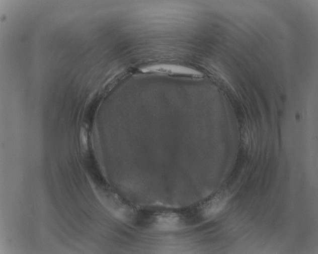 X0000077390214200611101802