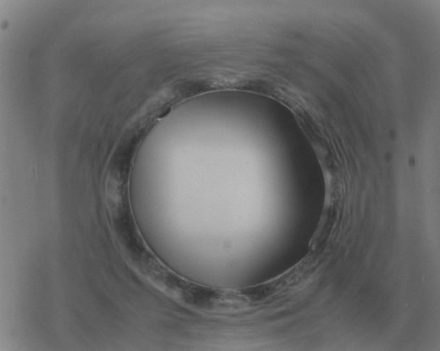 X0000077390215200611101802