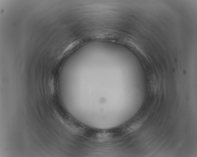 X0000077390216200611101802